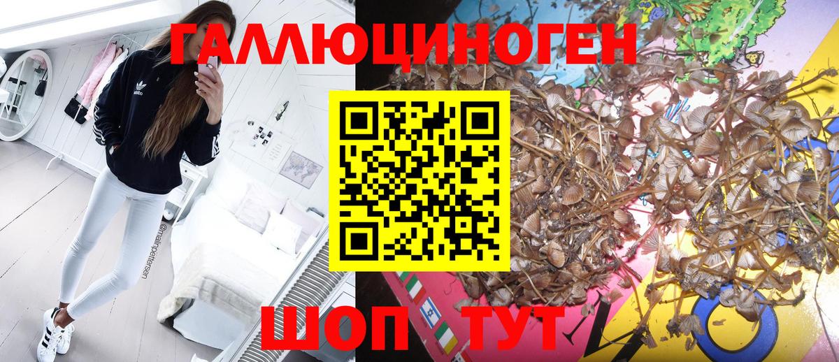 Псилоцибиновые грибы мухоморы  Вход с VPN  Чусовой 